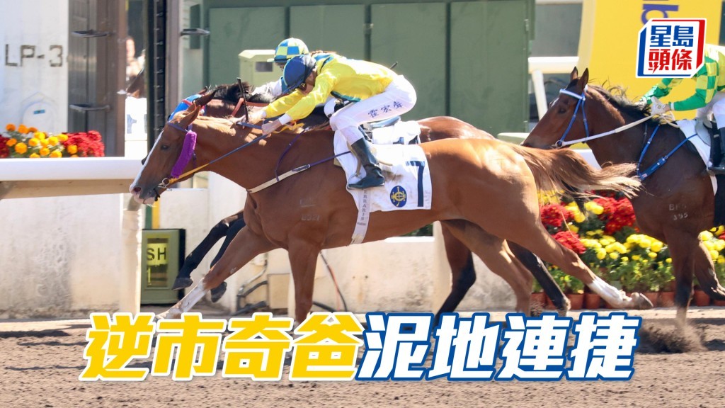 「逆市奇爸」泥地連捷