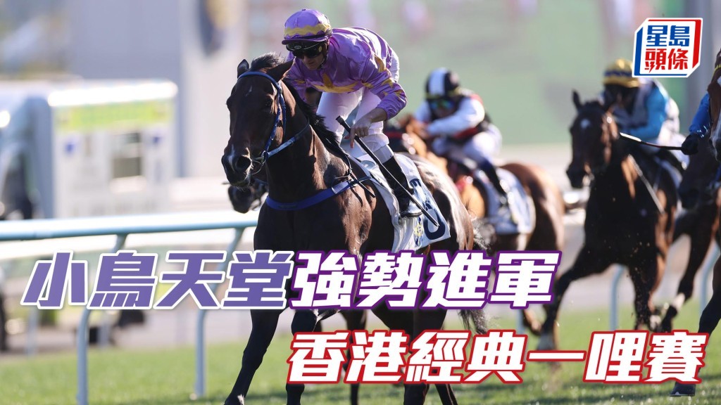 丁冠豪麾下「小鳥天堂」強勢進軍香港經典一哩賽