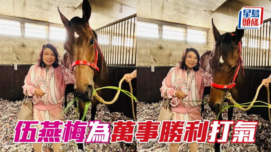 独家猛料│伍燕梅为「万事胜利」打气