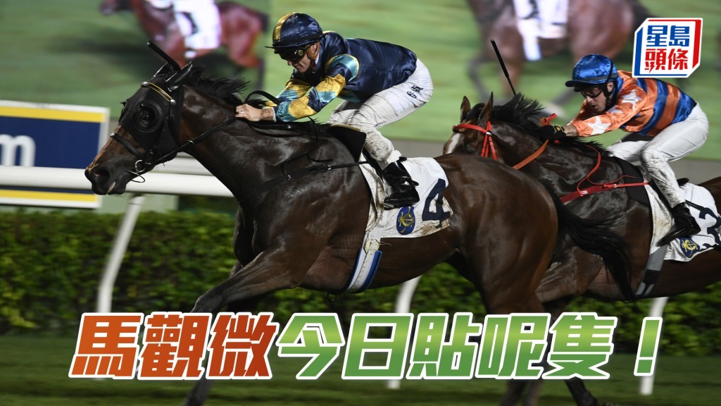 「愛馬善」今仗排四檔,將可盡展所長。