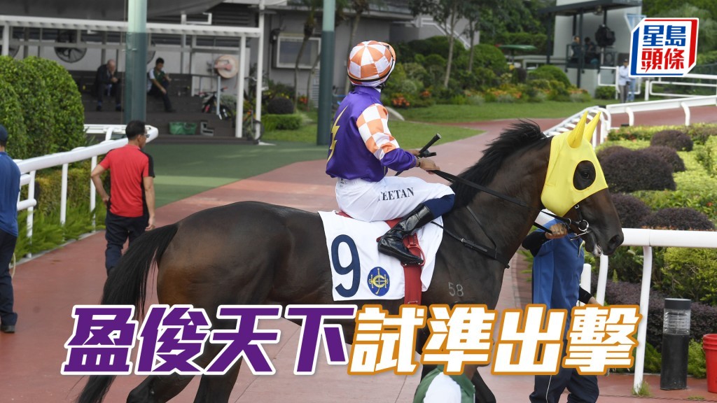 「盈俊天下」試準出擊