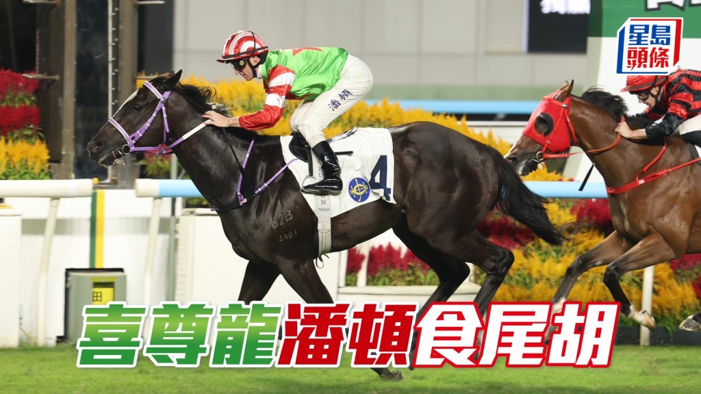 「喜尊龍」潘頓食尾胡