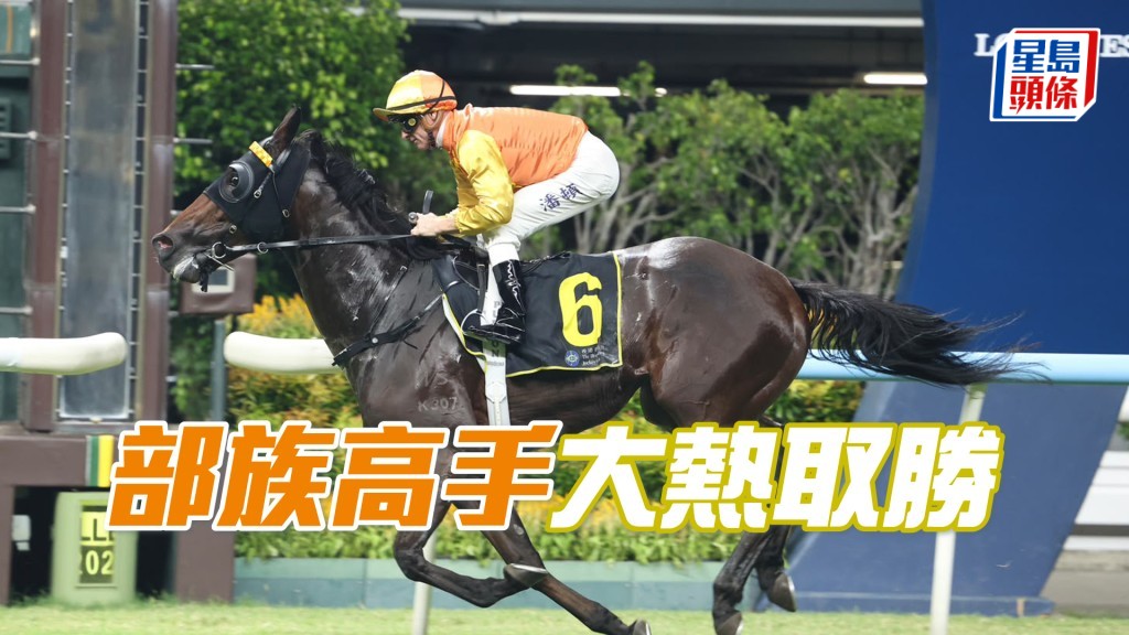 「部族高手」大熱取勝