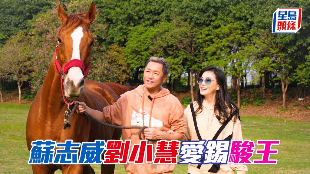 蘇志威一家人不時前往國內中山馬場探望「駿王」。（相片來源:劉小慧Facebook）