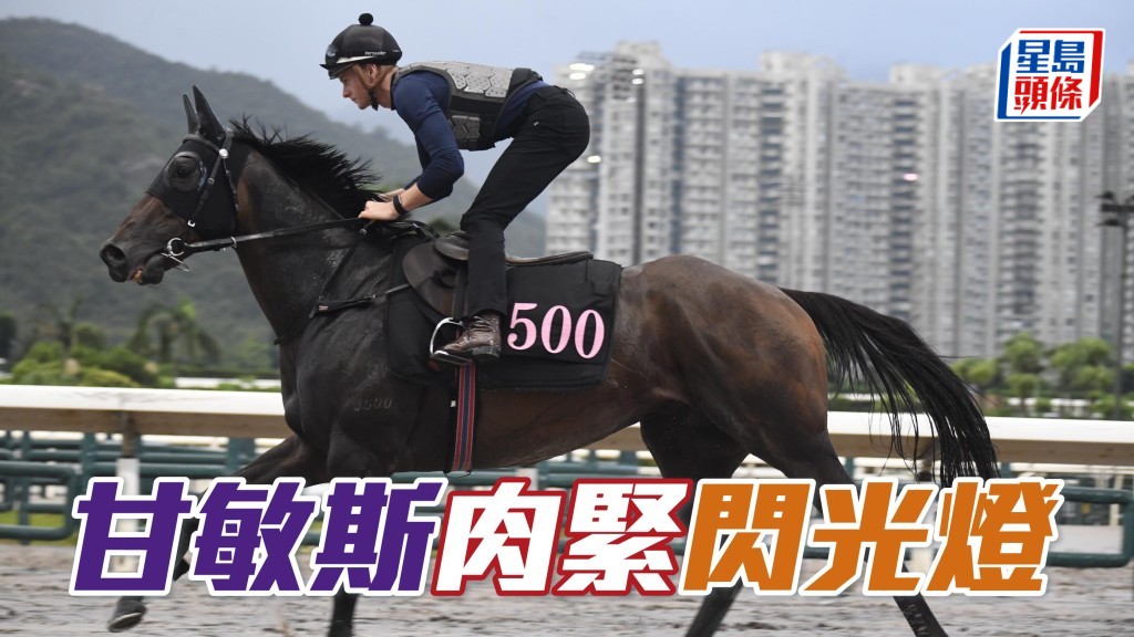 沙田早晨│甘敏斯肉紧「闪光灯」 (资料图片)