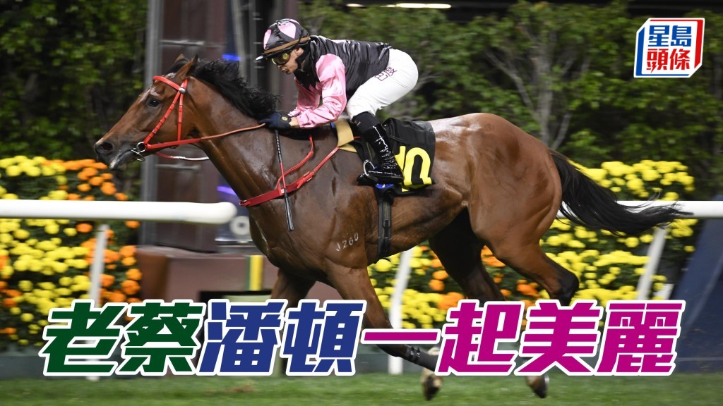 「一起美麗」(圖) 今場重配贏馬拍檔潘頓，有望再添勝仗。