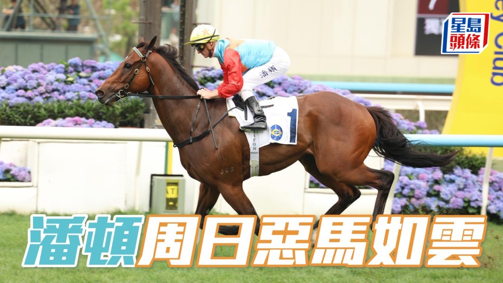 潘顿周日伙世一「嘉应高升」争二十连捷，还卜定「小鸟天堂」、「时时欢声」、「冷娃」、「一世美丽」、「开心勇驹」、「大勇胜」、「包装天王」及「都灵冠星」，阵容强劲。