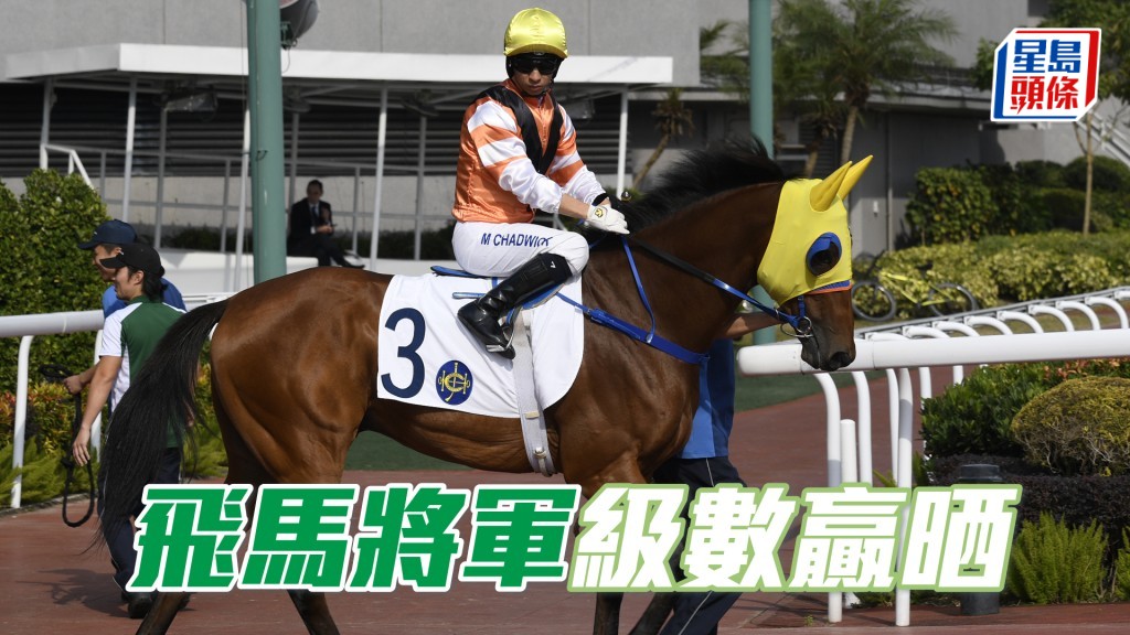 「飛馬將軍」強配布文兼對手似是而非，可望憑藉較高級數制勝。