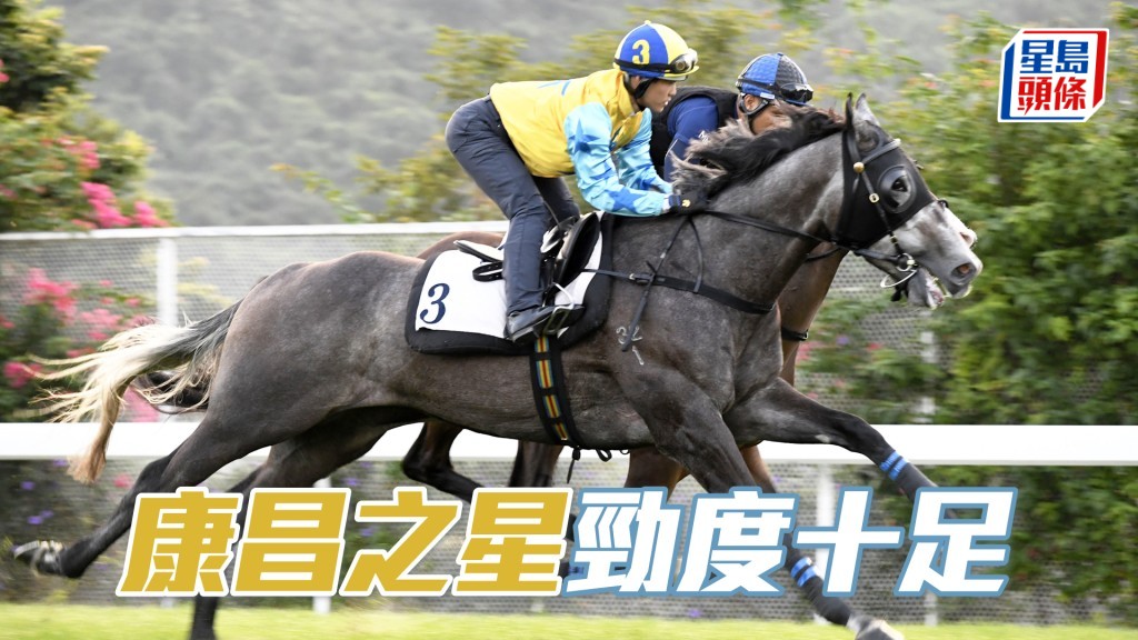 「康昌之星」洒开大步冲刺，朝气勃勃甚有好感。