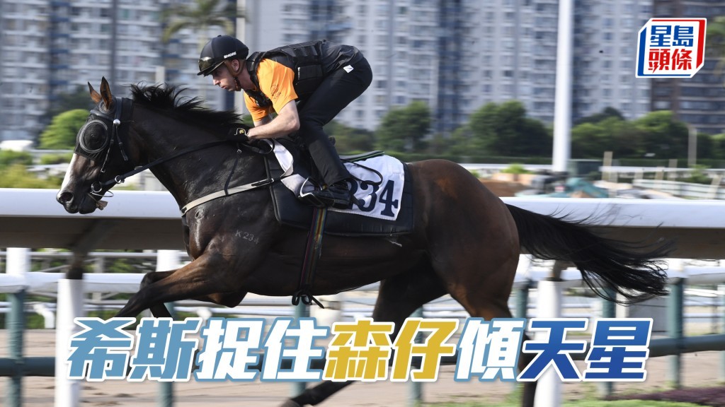 「天星」今季轉四歲有望大熟大勇。