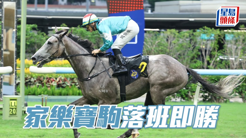 「家乐宝驹」落班即胜