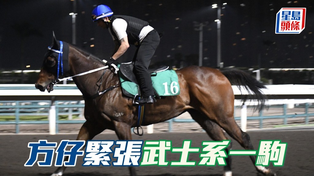 方嘉柏緊張田少家族馬