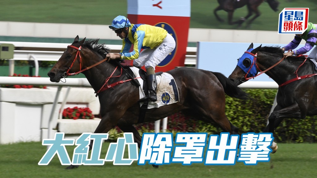 「大紅心」除去眼罩，部署手法與上季同出一轍，看來準備出擊。