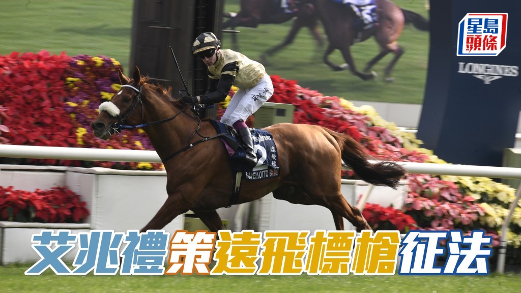 艾兆禮獲同鄉布銘球邀請，夥拍上季香港瓶盟主「遠飛標槍」(圖) 出戰周日在法國隆尚馬場舉行的凱旋門大賽。