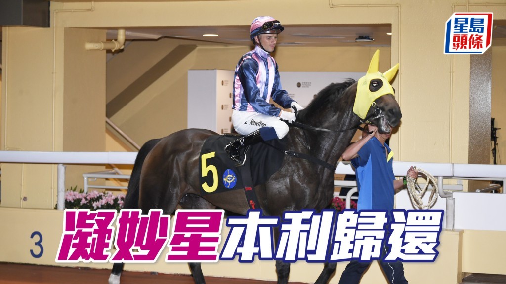 「凝妙星」强配潘顿，若际遇转佳有权本利归还。