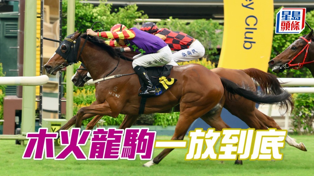 「木火龍駒」一放到底