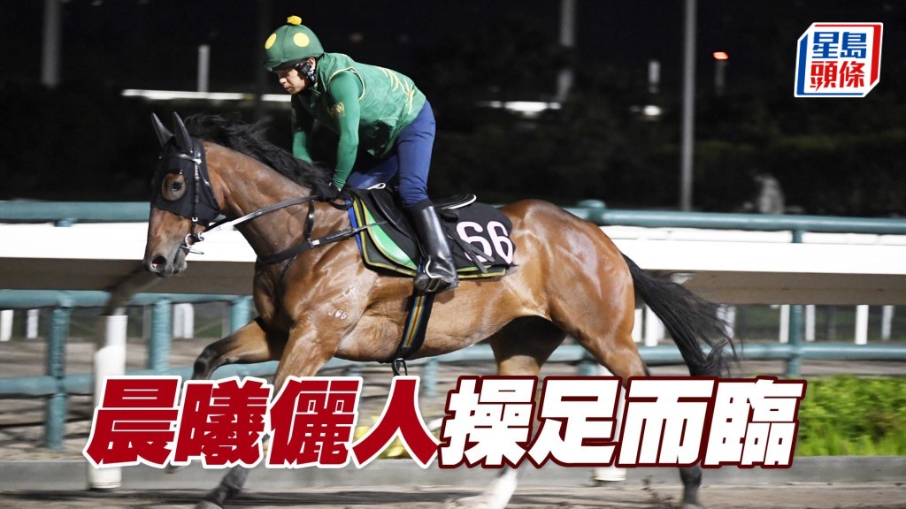 「晨曦」系馬主梁浩然律師名下的「晨曦儷人」明日在港初出。