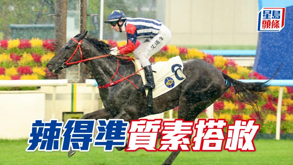 「辣得准」明日将出战第五场四班千二米。