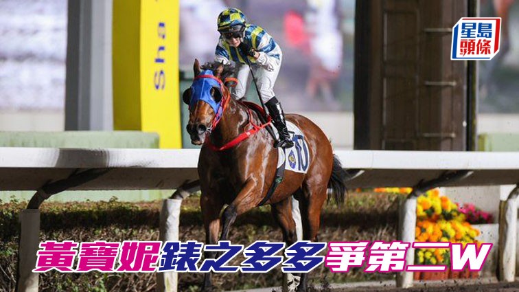 「錶之多多」(圖) 在港唯一頭馬便是由黃寶妮建功,此馬今場回配小妮子,遇有利形勢,或可一放而回。