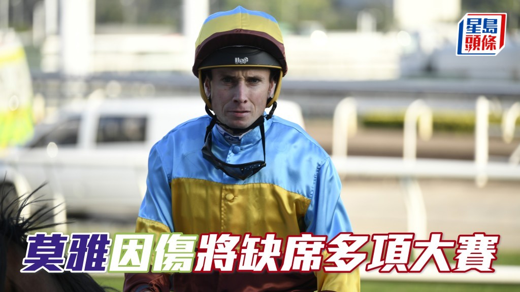 莫雅(圖) 因為右股股骨骨折,之後舉行的愛爾蘭冠軍錦標、法國凱旋門大賽及美國育馬者盃等大賽均將缺席。