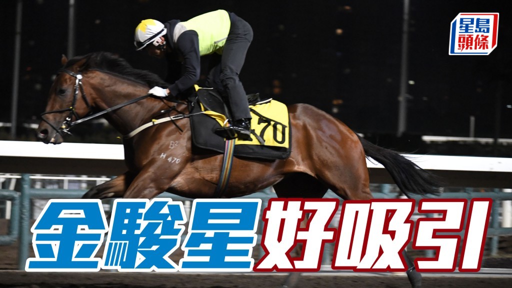 「金駿星」奧爾民草地跳兩段，上課快跳見好，今課落草地更醒神，朝氣勃勃好吸引。(資料圖片)
