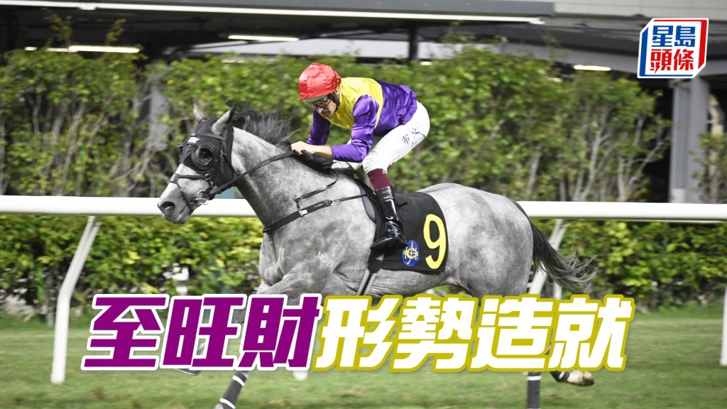 「至旺财」排位理想，可守内栏至末段伺机而动，赢马机会乐观。