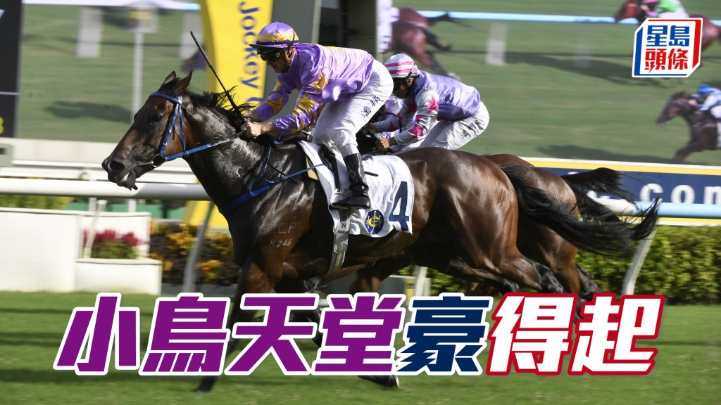 「小鳥天堂」(圖) 雖今次加磅增程難克服，但近期進度好兼韁口改善，本身潛力未盡仍值熱捧。