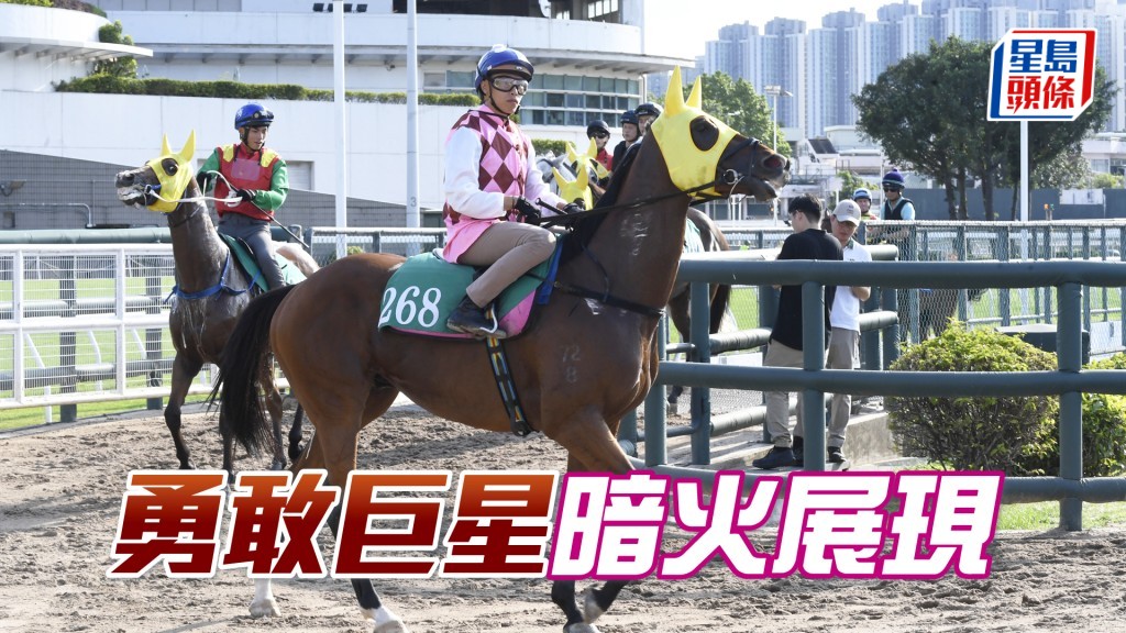 「勇敢巨星」步順輕巧神態暢旺，喼到上佳勇態。