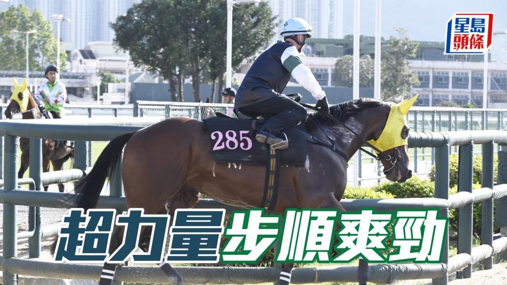 「超力量」神態暢旺火氣唔錯，充滿好感。