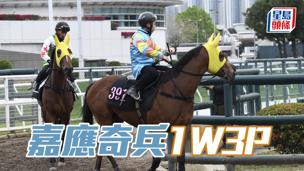 「嘉應奇兵」曾贏「至尊高超」,實力有保證。