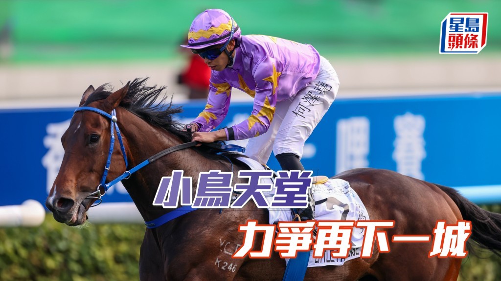 「小鸟天堂」力争再下一城 扬威香港经典杯