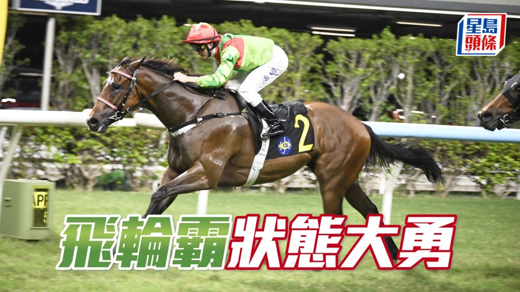  「飛輪霸」今場初配巴度，巴度曾經夥拍沈墨寧以往的愛駒「飛輪閃耀」贏過三級賽莎莎婦女銀袋和精英碟。