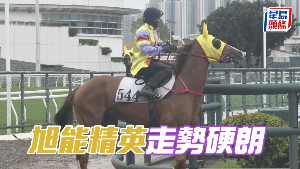「旭能精英」淡淡定有朝氣，進度不俗上火上力。