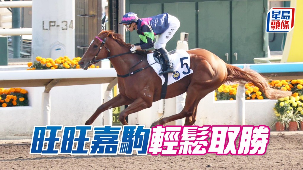 「旺旺嘉驹」轻松取胜