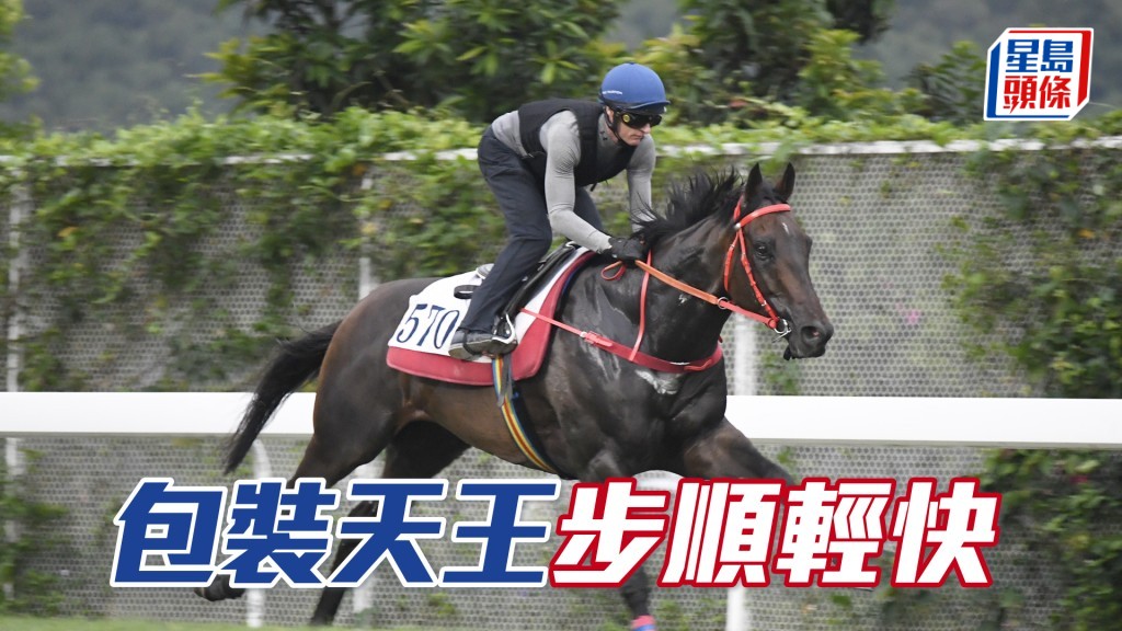 「包裝天王」馬身收壯展現線條，操足而臨大有進展。