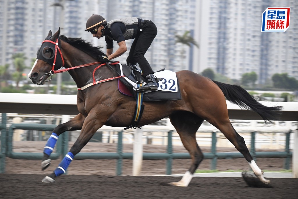 「勝在當下」步幅開得好闊又夠急勁，前所未見省鏡。