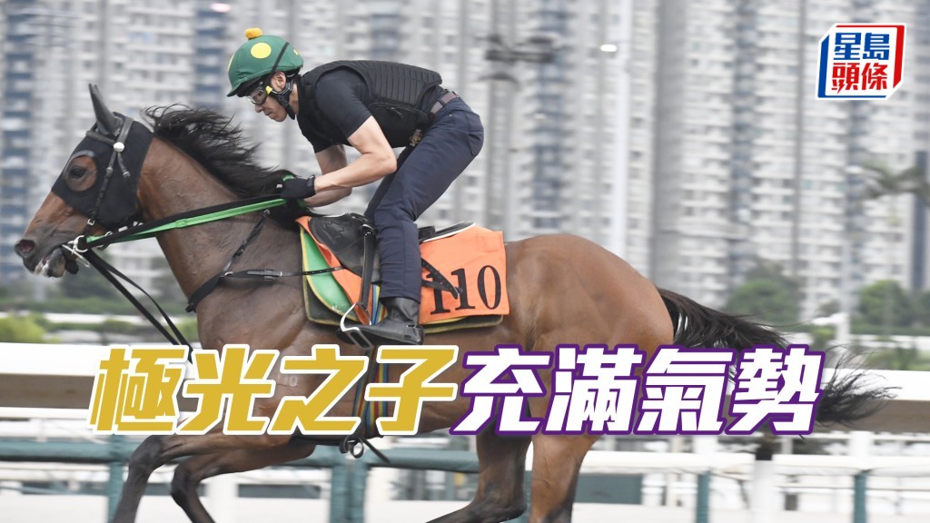 「極光之子」雙目炯炯有神，氣勢如虹保持勇銳。
