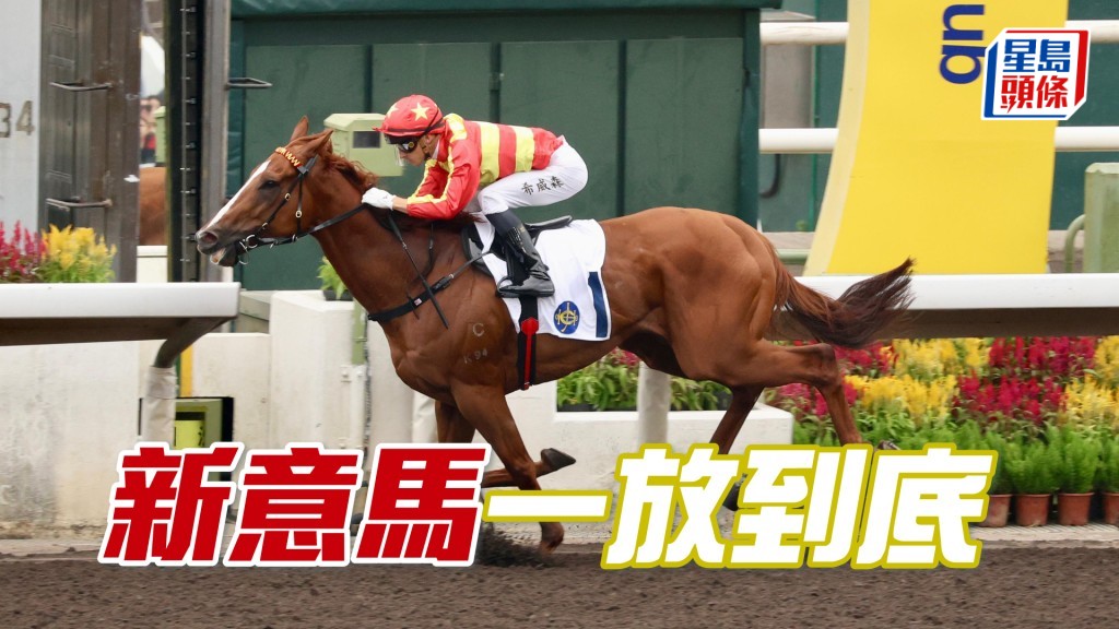 「新意馬」一放到底