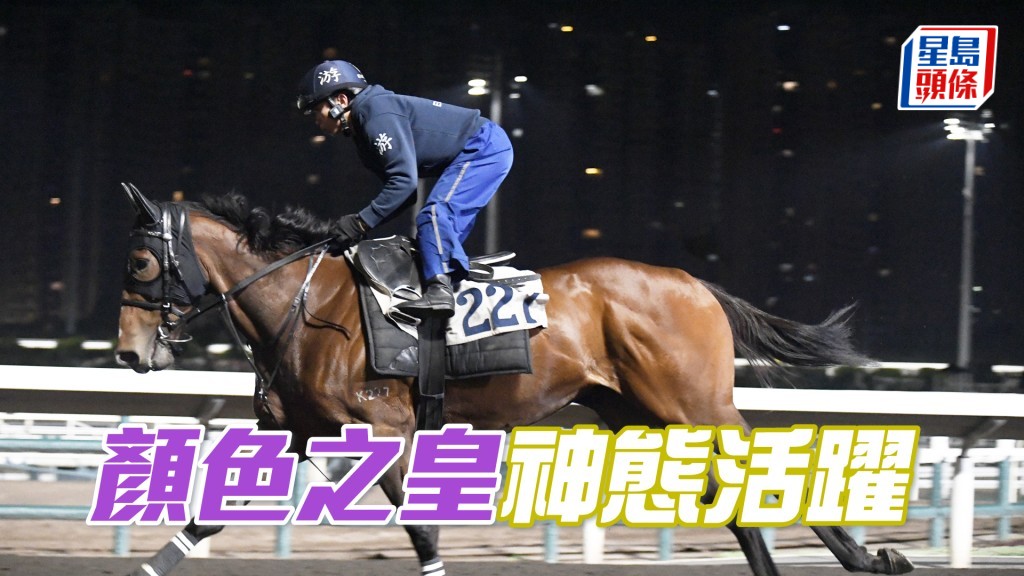 「颜色之皇」用暗力拉实，身壮勇况持续。