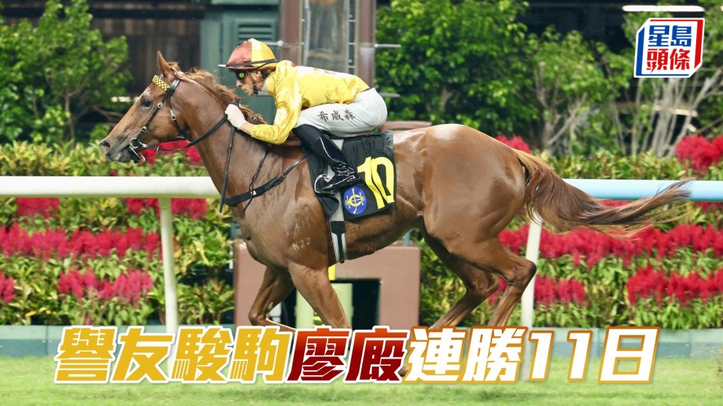 「譽友駿駒」廖廄連勝11日