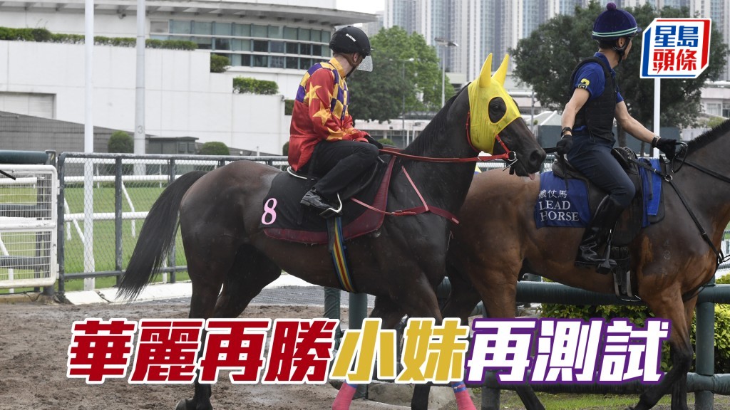 「華麗再勝」與黃寶妮默契十足，加上沈廄喜搶攻，值得跟進。