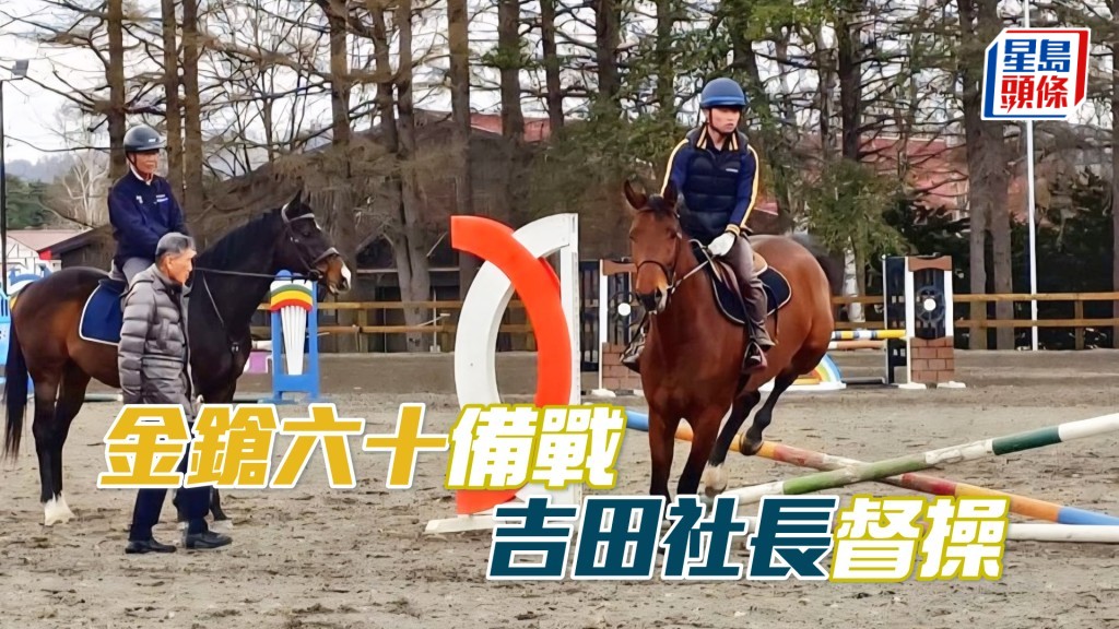 「 金鎗六十」（左）在日本備戰中，吉田社長在督操。（相片來源：「金鎗」系馬主陳家樑提供）
