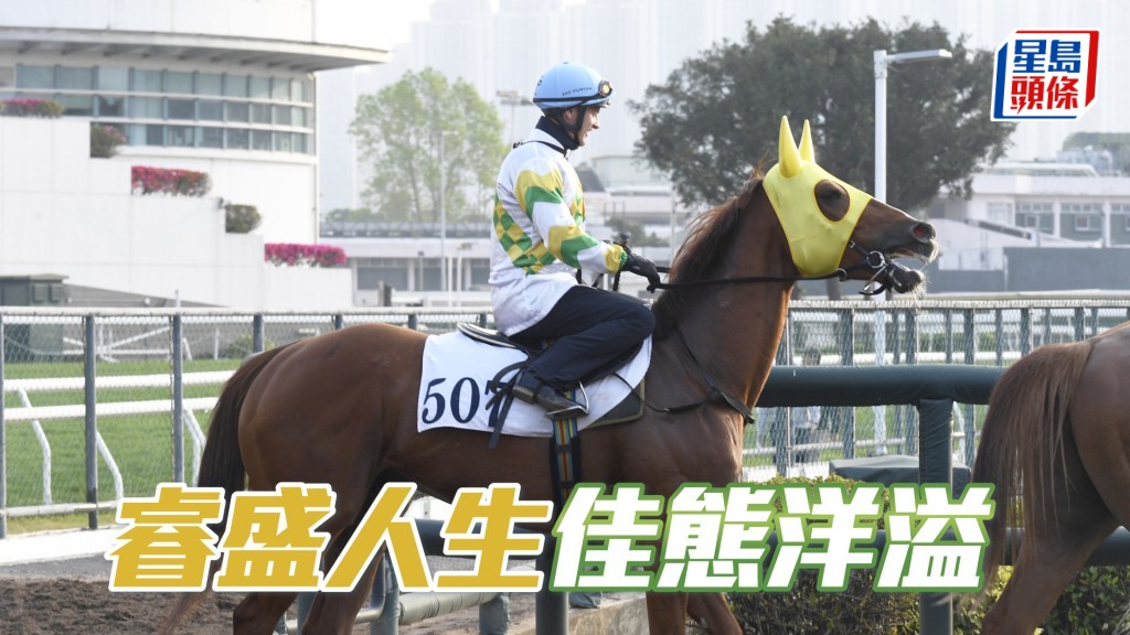 「睿盛人生」氣宇軒昂試得淡定，力度充足馬身壯健。