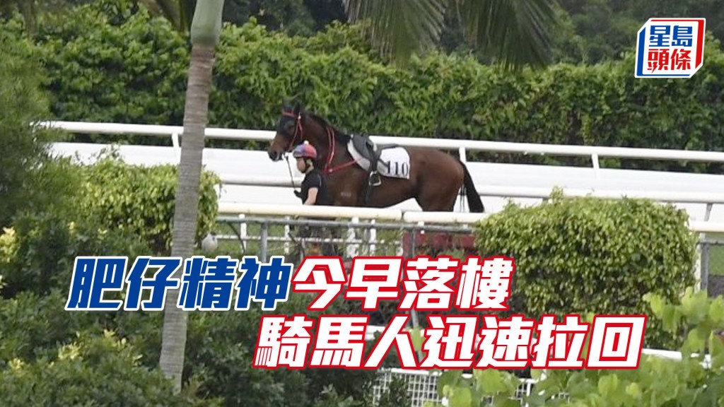 「肥仔精神」跌馬後助手立即拉回，冇走甩。