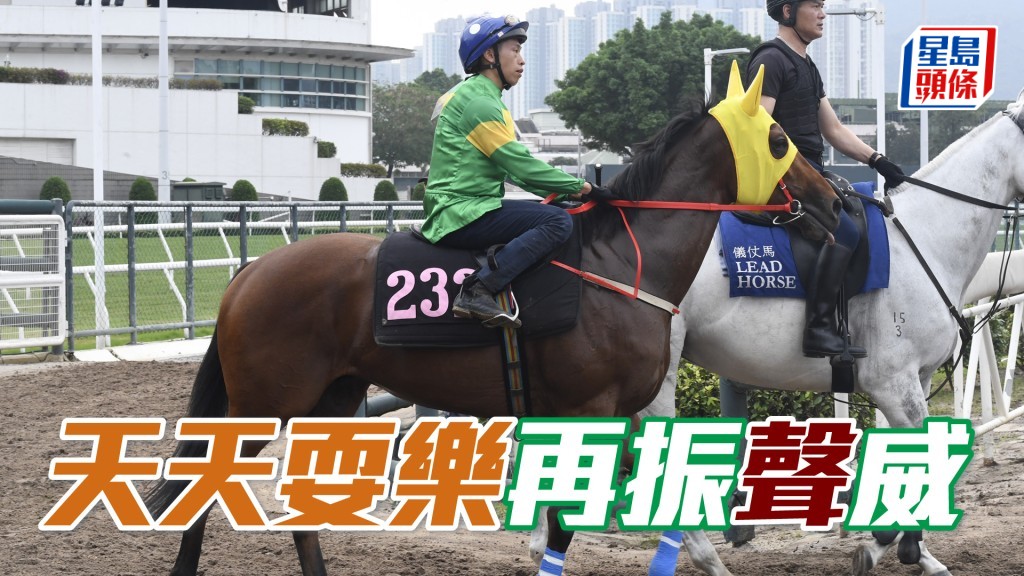 「天天耍樂」如能在周末順利打開勝門，對馬主來說實屬美事。