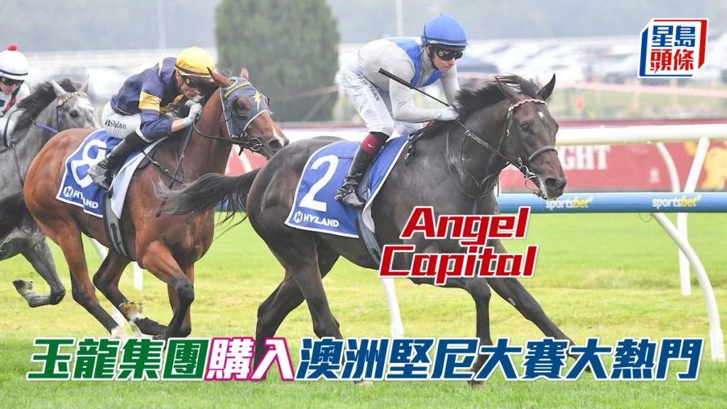 大馬主張月勝的玉龍集團，購入由著名馬販公司Upper Bloodstock和何志豪擁有的Angel Capital (圖) 。