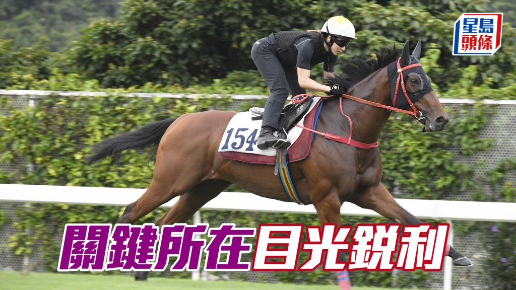 「關鍵所在」精神奕奕毛色悅目，具備爭勝水準。