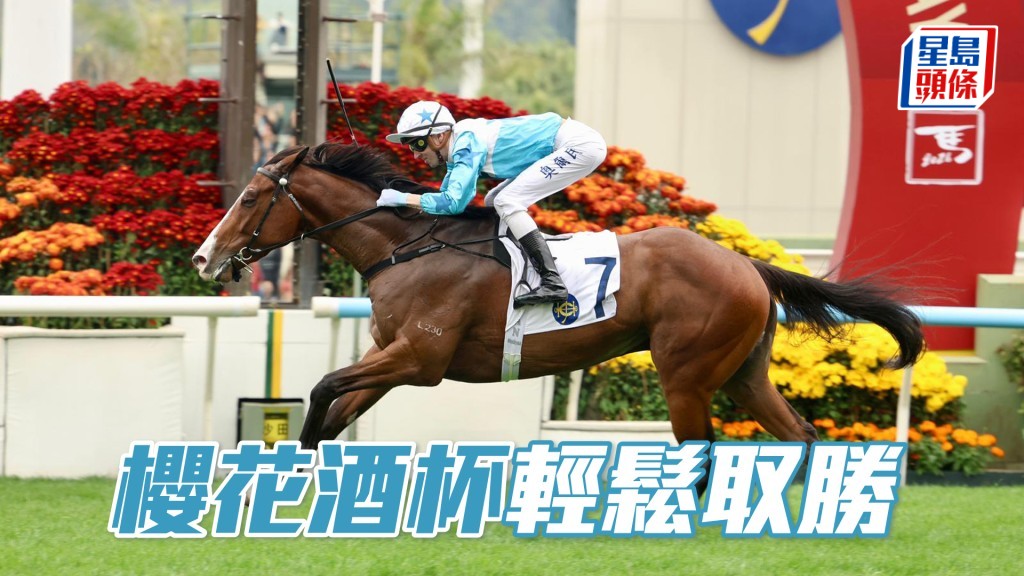 「樱花酒杯」轻松取胜