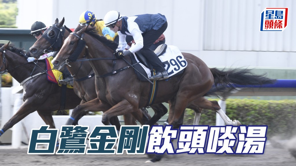 「白鷺金剛」出賽兩次均入Q，暑假期間加緊操練，今仗力足言勝。
