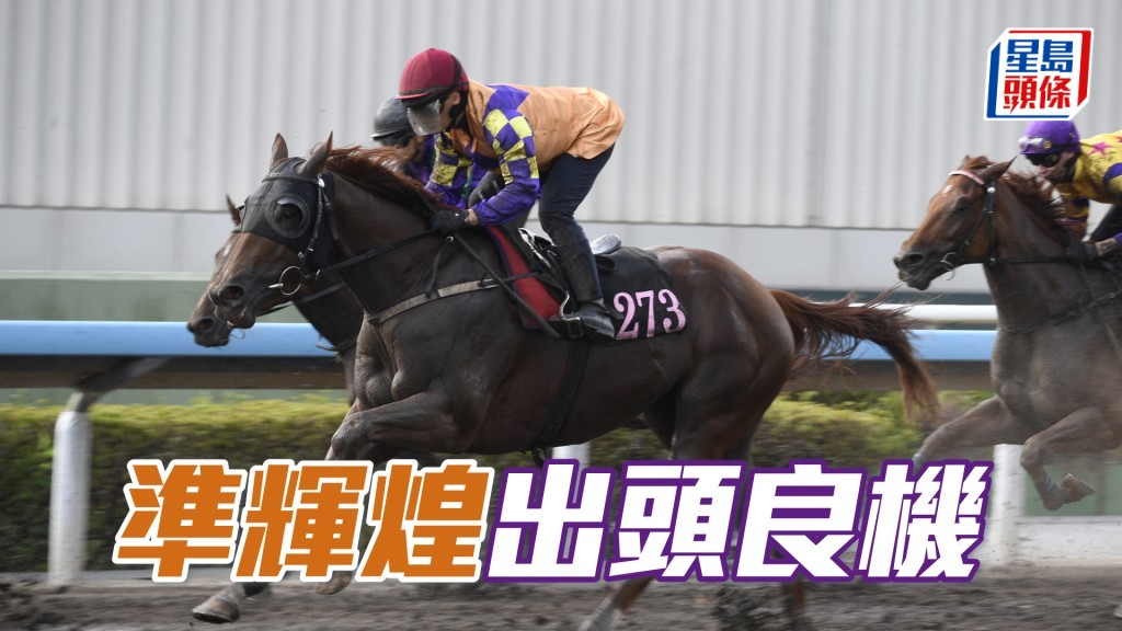 「準輝煌」終於抽一檔，實屬出頭良機。